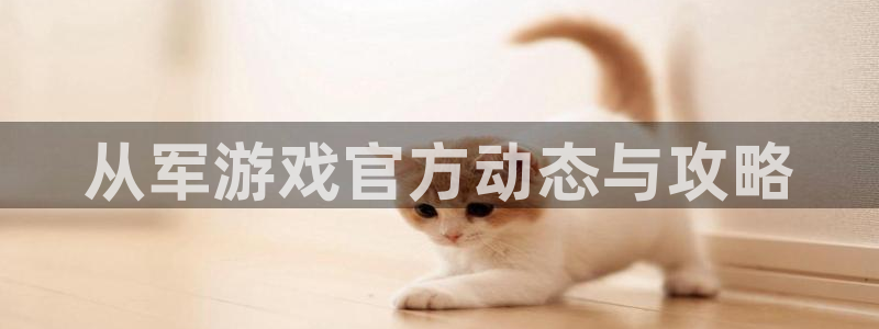 高德娱乐平台登录线路：从军游戏官方动态与攻略