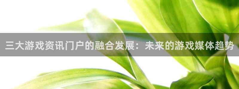 高德娱乐4主管：三大游戏资讯门户的融合发展：未来的游戏媒体趋