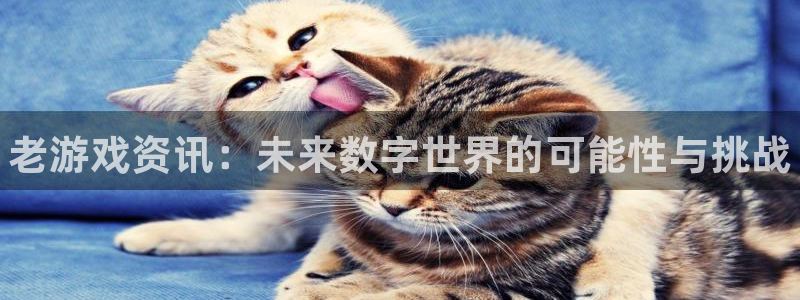 高德娱乐登录：老游戏资讯：未来数字世界的可能性与挑战