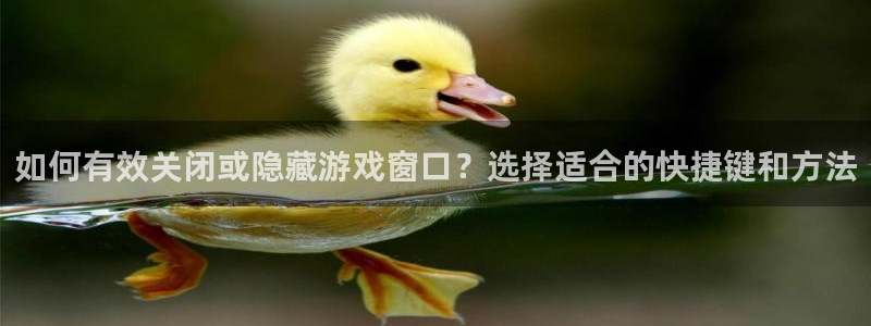 手机高德娱乐下载安装：如何有效关闭或隐藏游戏窗口？选择适合的