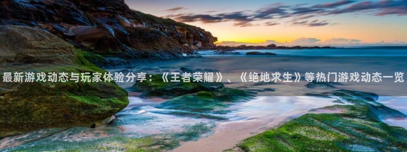 高德娱乐2登录：最新游戏动态与玩家体验分享：《王者荣耀》、《
