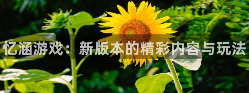 高德娱乐官方平台：忆涵游戏：新版本的精彩内容与玩法