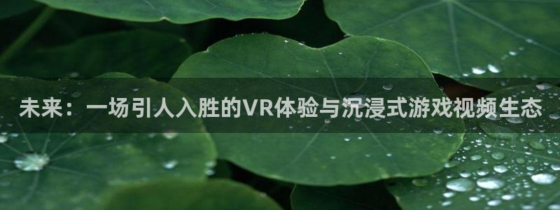 高德娱乐平台注册：未来：一场引人入胜的VR体验与沉浸式游戏视