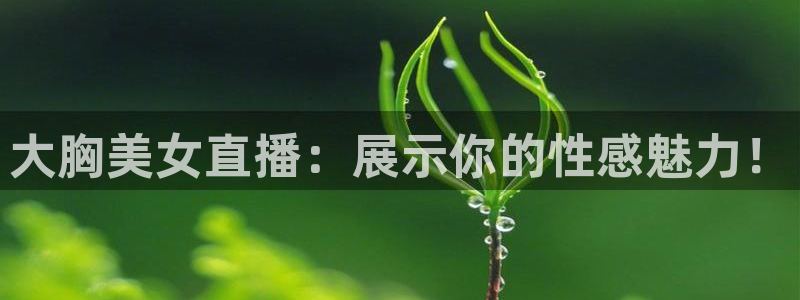 蓝鲸下载