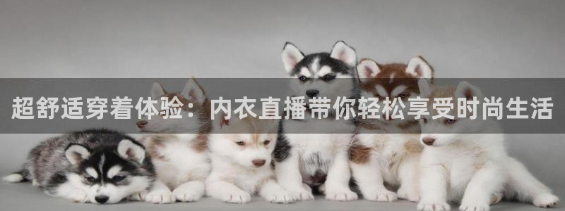 蓝鲸鱼体育直播：超舒适穿着体验：内衣直播带你轻松享受时尚生活