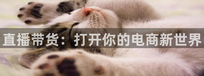 蓝鲸nba直播：直播带货：打开你的电商新世界