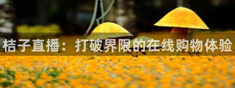 蓝鲸体育免费直播入口：桔子直播：打破界限的在线购物体验