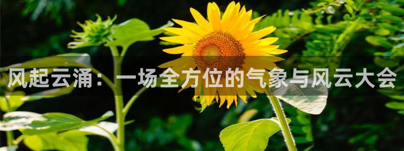 蓝鲸lanjing同直播：风起云涌：一场全方位的气象与风云大会
