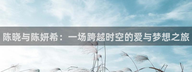 蓝鲸体育免费观看：陈晓与陈妍希：一场跨越时空的爱与梦想之旅